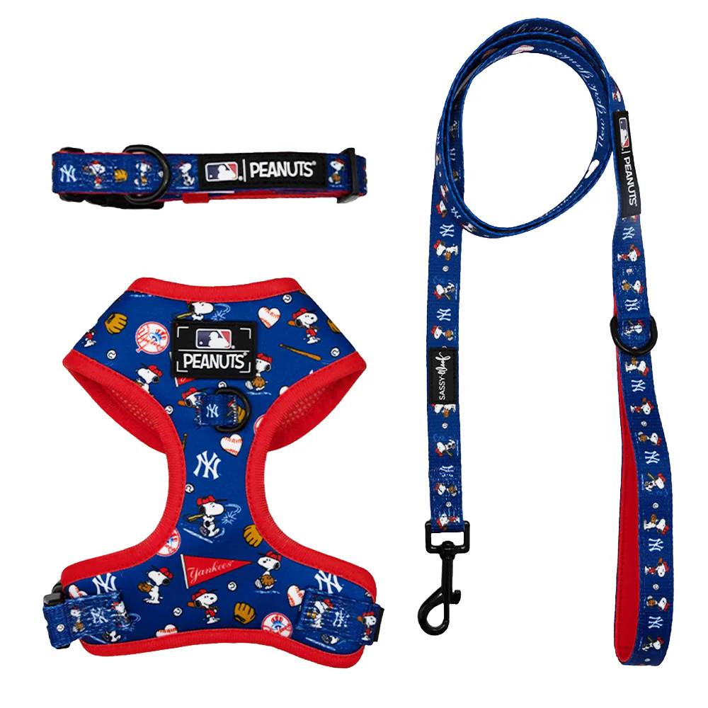MLB x Peanuts™ New York Yankees